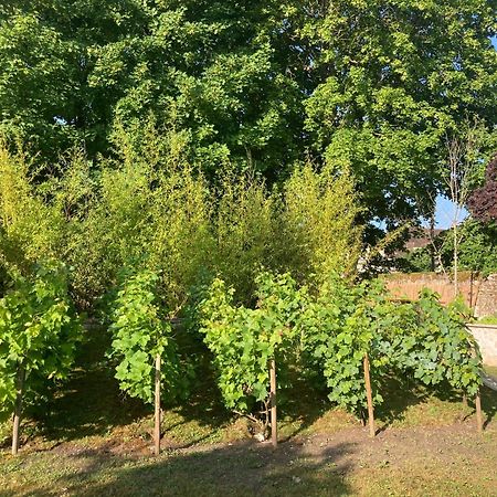 Bed and Breakfast Pierres Et Jardins Senlis  Exterior foto
