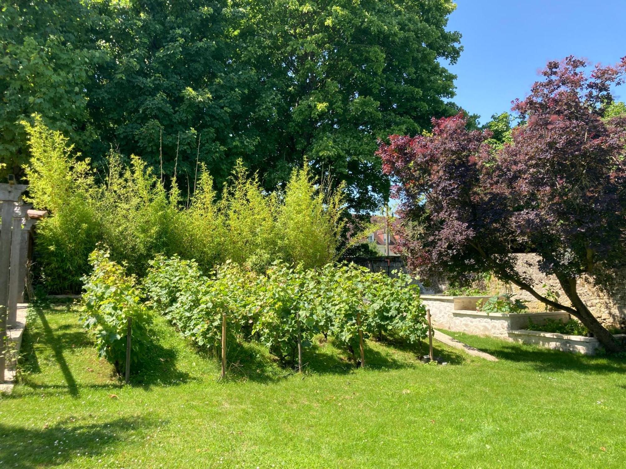 Bed and Breakfast Pierres Et Jardins Senlis  Exterior foto
