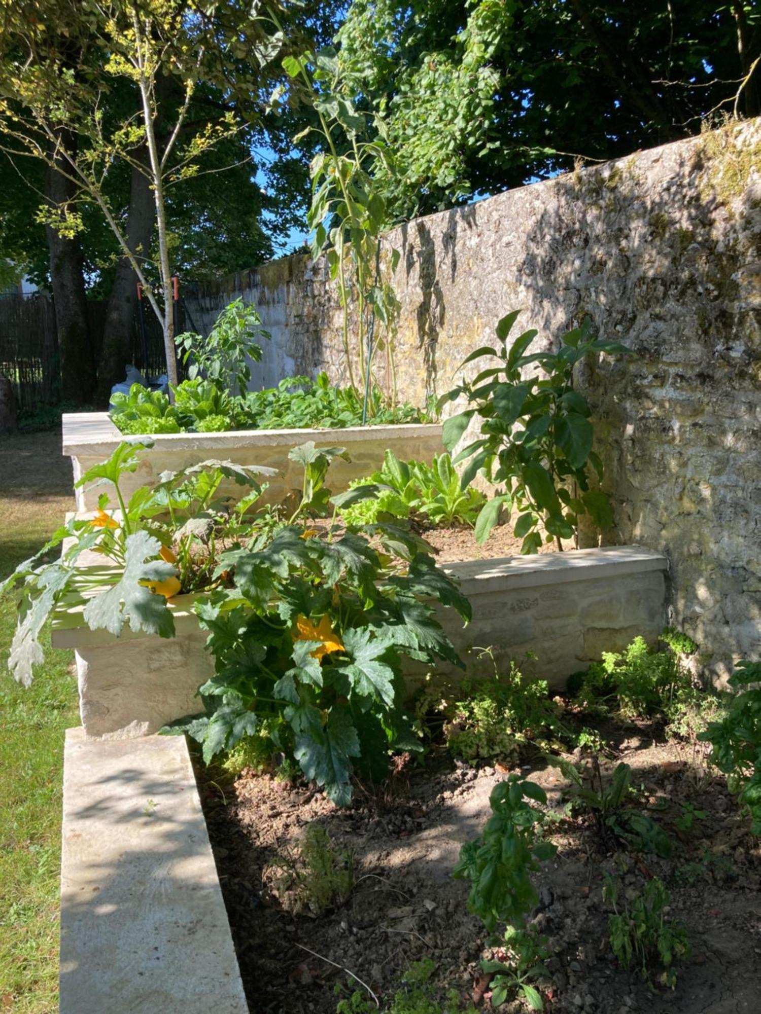 Bed and Breakfast Pierres Et Jardins Senlis  Exterior foto
