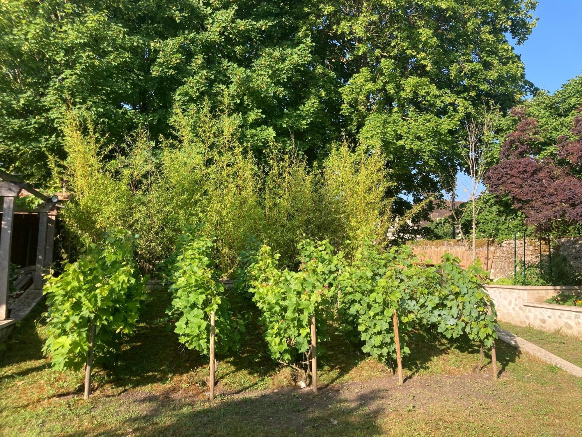 Bed and Breakfast Pierres Et Jardins Senlis  Exterior foto