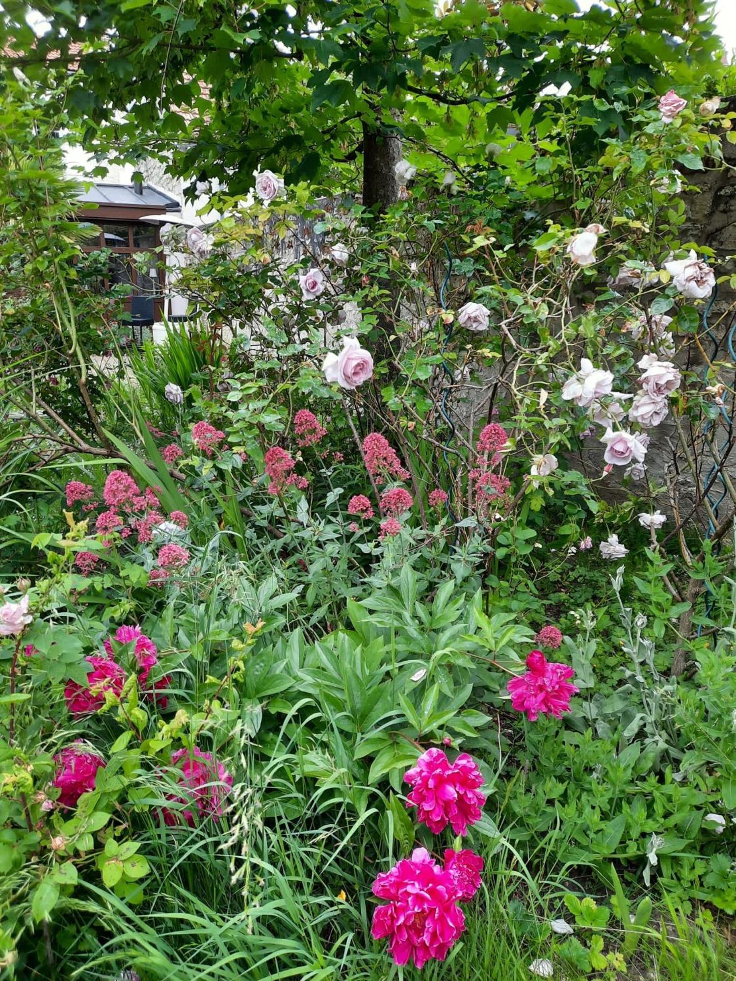 Bed and Breakfast Pierres Et Jardins Senlis  Exterior foto